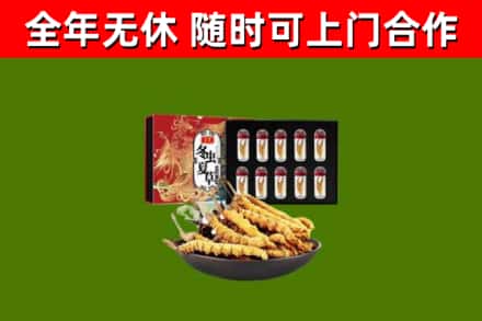 黄州回收冬虫夏草价格